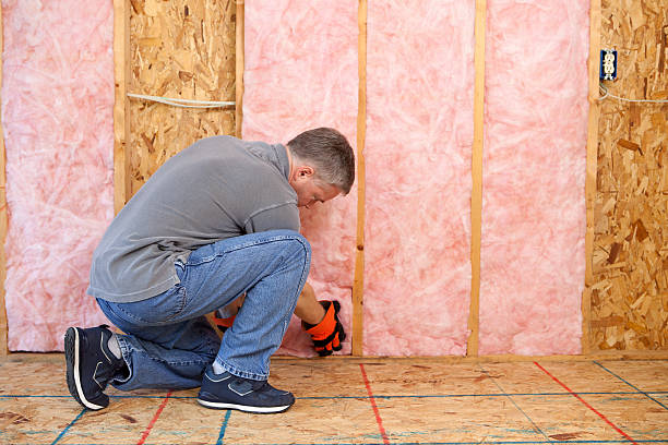 Best Insulation for Existing Homes  in Longwood, FL